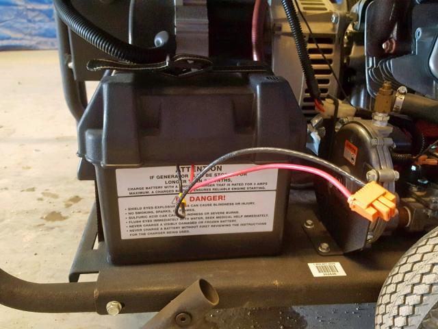 10065303 - 2007 HONDA GENERATOR BLACK photo 6