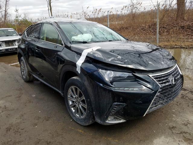 JTJYARBZ2K2141737 - 2019 LEXUS NX 300 BASE  photo 1