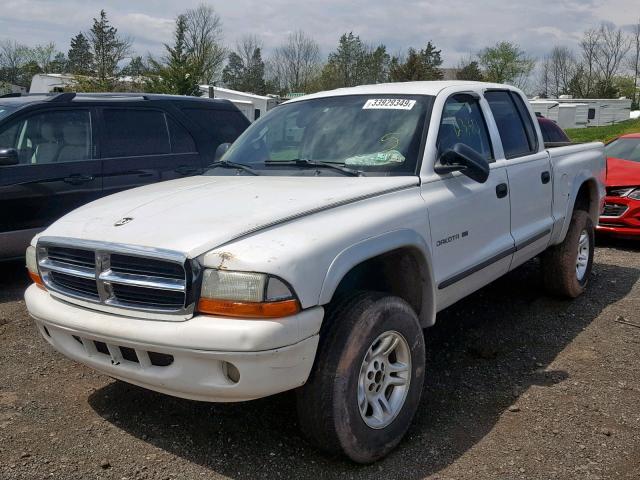 1B7HG48N32S709468 - 2002 DODGE DAKOTA QUA WHITE photo 2