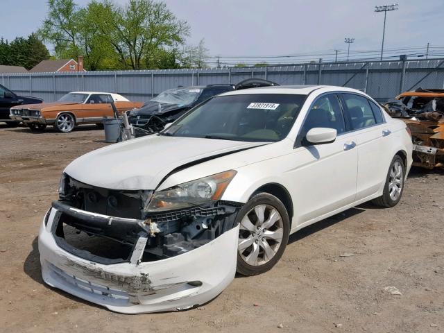 1HGCP36808A067843 - 2008 HONDA ACCORD EXL WHITE photo 2