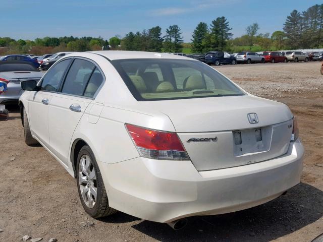 1HGCP36808A067843 - 2008 HONDA ACCORD EXL WHITE photo 3