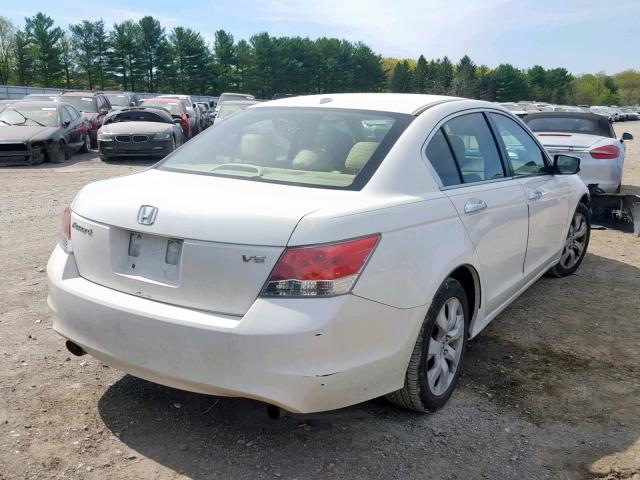 1HGCP36808A067843 - 2008 HONDA ACCORD EXL WHITE photo 4