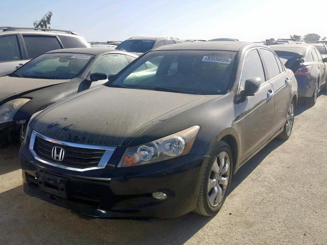 1HGCP36888A062955 - 2008 HONDA ACCORD EXL BLACK photo 2