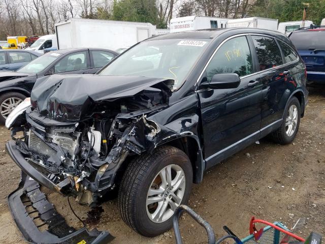 5J6RE4H74AL048449 - 2010 HONDA CR-V EXL  photo 2