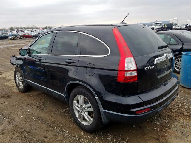 5J6RE4H74AL048449 - 2010 HONDA CR-V EXL  photo 3