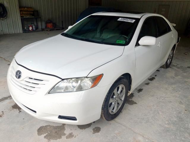 4T1BK46K37U551184 - 2007 TOYOTA CAMRY LE  photo 2