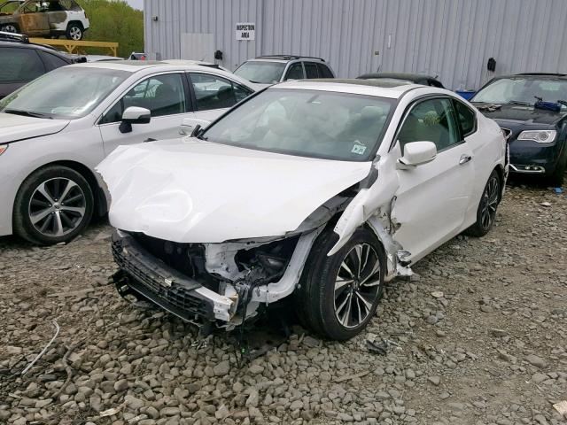 1HGCT1B82GA011696 - 2016 HONDA ACCORD EXL WHITE photo 2