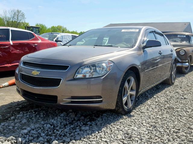 1G1ZC5E11BF389723 - 2011 CHEVROLET MALIBU 1LT BROWN photo 2