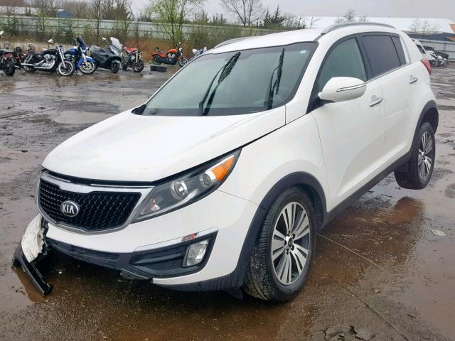 KNDPC3AC4F7723365 - 2015 KIA SPORTAGE E WHITE photo 2