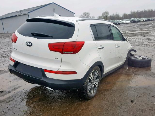 KNDPC3AC4F7723365 - 2015 KIA SPORTAGE E WHITE photo 4