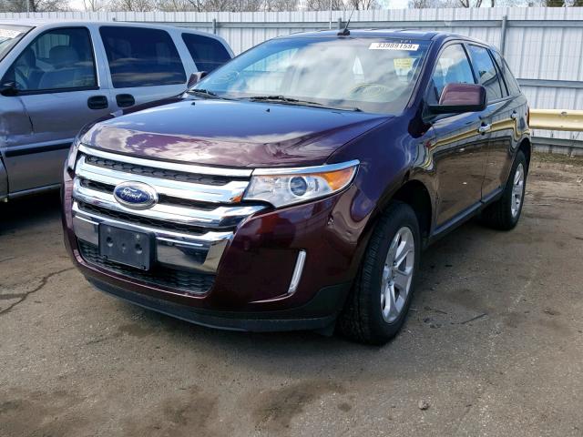 2FMDK3JC9BBA30519 - 2011 FORD EDGE SEL PURPLE photo 2