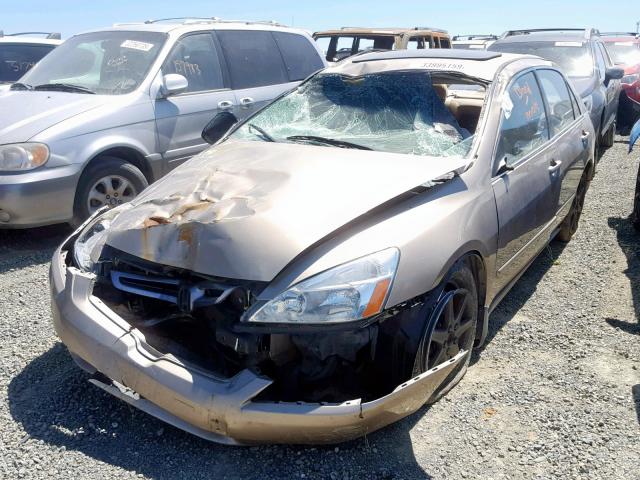 1HGCM66583A077898 - 2003 HONDA ACCORD GOLD photo 2