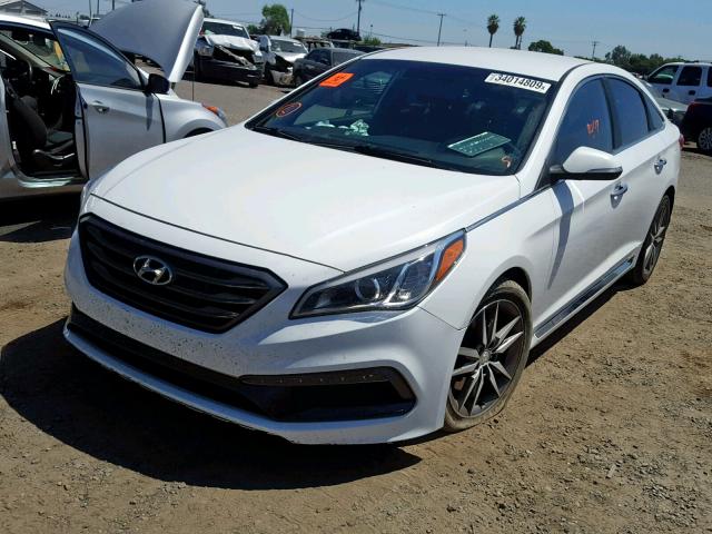 5NPE34AB4FH128435 - 2015 HYUNDAI SONATA SPO WHITE photo 2