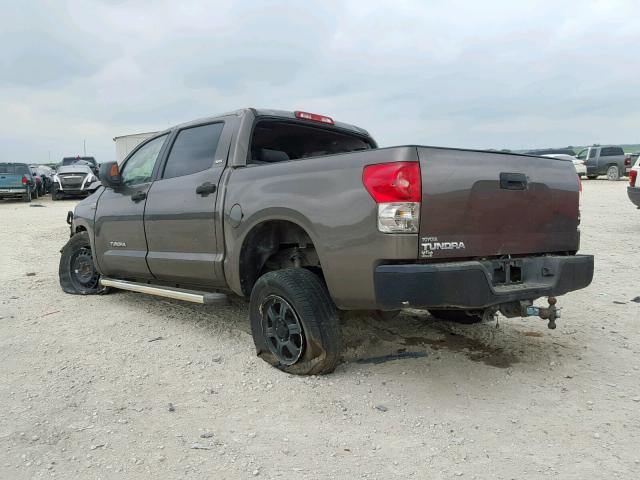 5TBEV54167S461128 - 2007 TOYOTA TUNDRA CRE BROWN photo 3