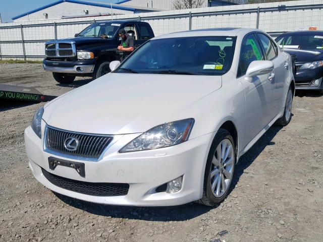 JTHCF5C28A2033211 - 2010 LEXUS IS 250 WHITE photo 2