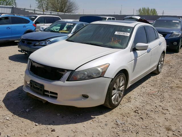 1HGCP36828A078987 - 2008 HONDA ACCORD EXL WHITE photo 2