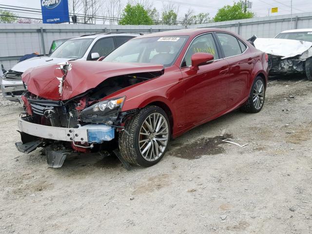 JTHBF1D22E5031087 - 2014 LEXUS IS 250 RED photo 2