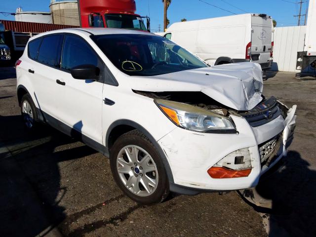 1FMCU0F76DUB46709 - 2013 FORD ESCAPE S  photo 1