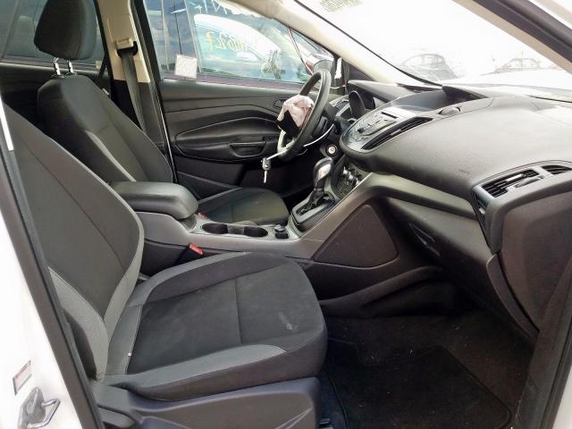 1FMCU0F76DUB46709 - 2013 FORD ESCAPE S  photo 5