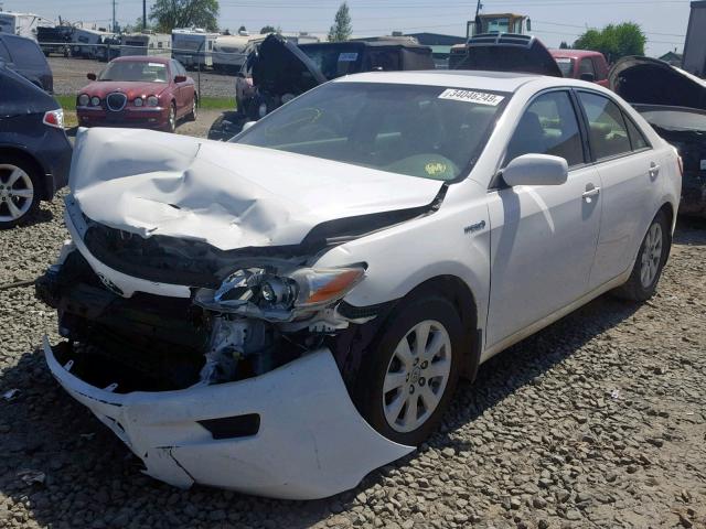 JTNBB46K983046306 - 2008 TOYOTA CAMRY HYBR WHITE photo 2