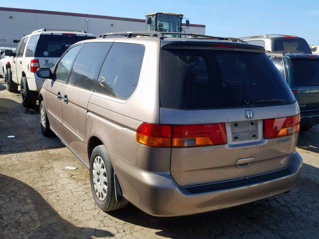 5FNRL18543B096239 - 2003 HONDA ODYSSEY LX BROWN photo 3