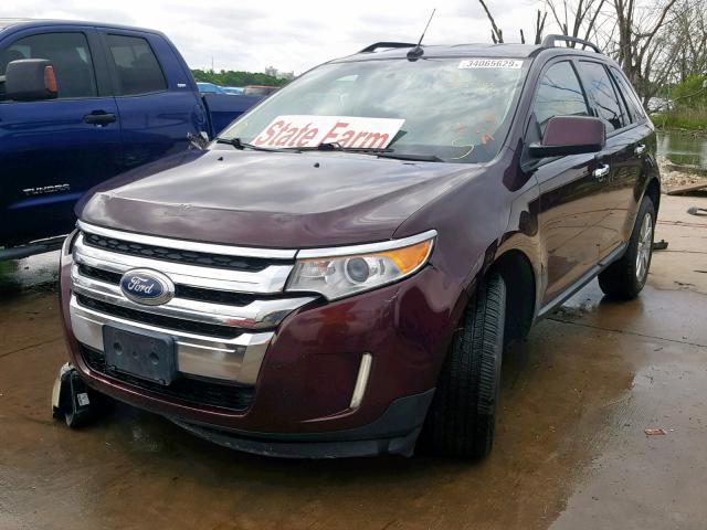 2FMDK3JC0BBA56569 - 2011 FORD EDGE SEL BURGUNDY photo 2