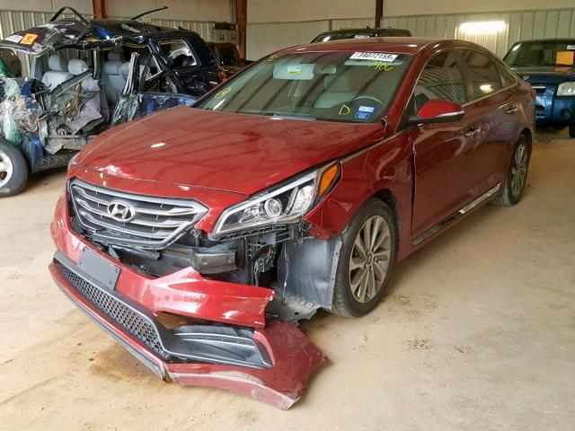 5NPE34AF0FH257906 - 2015 HYUNDAI SONATA SPO RED photo 2