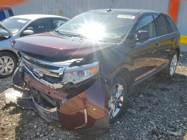 2FMDK3KC4BBA19085 - 2011 FORD EDGE LIMIT PURPLE photo 2