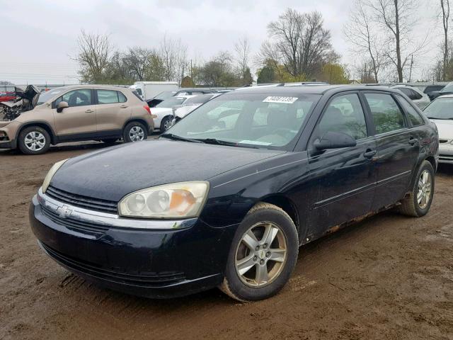 1G1ZT64835F172506 - 2005 CHEVROLET MALIBU MAX BLACK photo 2