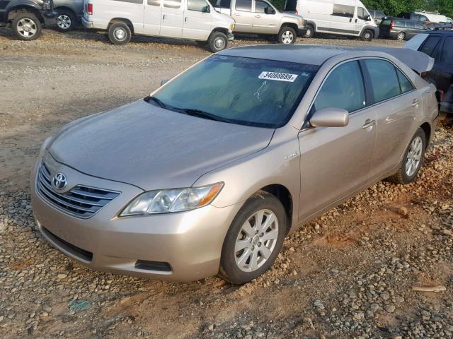 4T1BB46KX9U083070 - 2009 TOYOTA CAMRY HYBR TAN photo 2