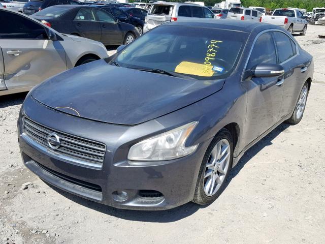 1N4AA5AP3AC824624 - 2010 NISSAN MAXIMA S GRAY photo 2