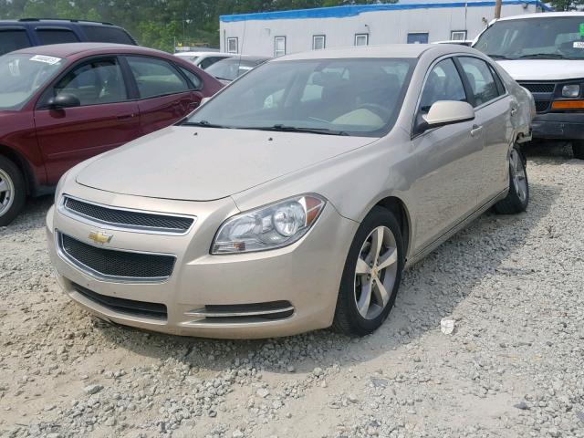 1G1ZC5E12BF109923 - 2011 CHEVROLET MALIBU 1LT 金色 照片 2