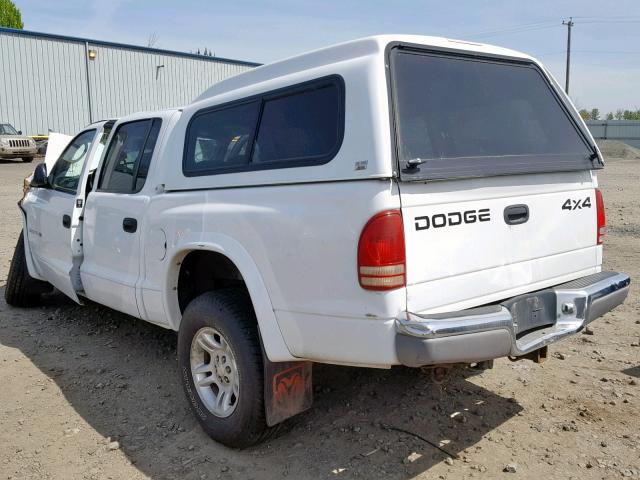 1B7HG48N02S646099 - 2002 DODGE DAKOTA QUA WHITE photo 3