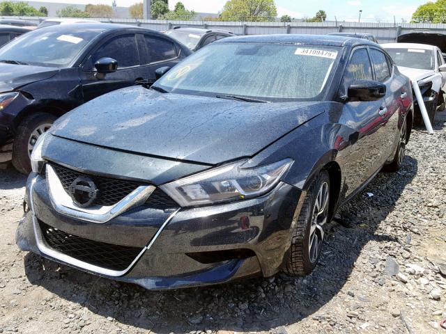 1N4AA6APXGC445182 - 2016 NISSAN MAXIMA 3.5 BLUE photo 2