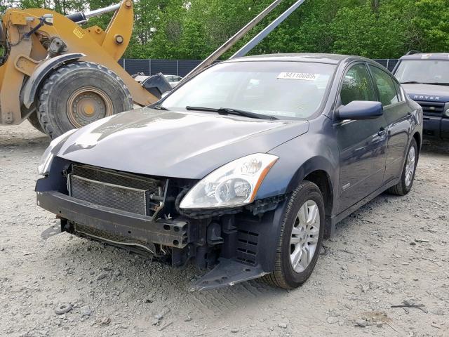 1N4CL2AP6AC166119 - 2010 NISSAN ALTIMA HYB GRAY photo 2