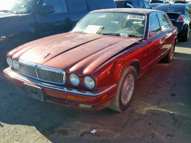 SAJHX1748SC736880 - 1995 JAGUAR XJ6 BURGUNDY photo 2