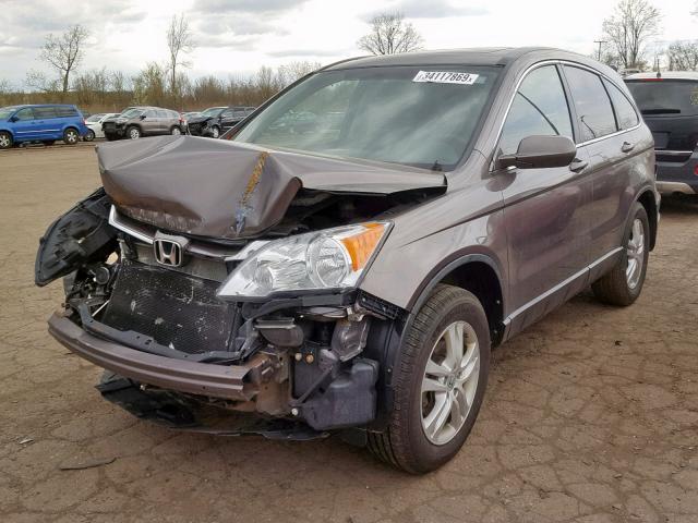 5J6RE4H79BL052076 - 2011 HONDA CR-V EXL GRAY photo 2