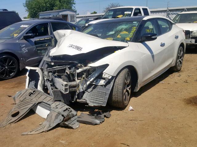 1N4AA6AP4HC371744 - 2017 NISSAN MAXIMA 3.5 WHITE photo 2