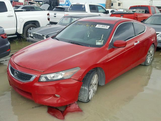 1HGCS22848A016098 - 2008 HONDA ACCORD EXL RED photo 2