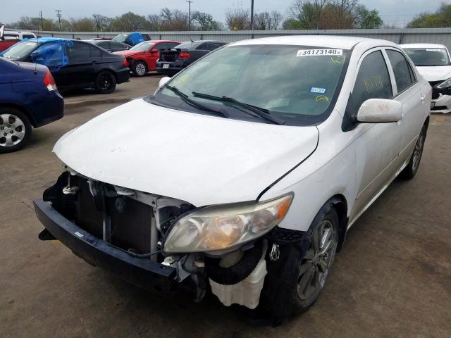 1NXBU40E69Z123822 - 2009 TOYOTA COROLLA BASE  photo 2