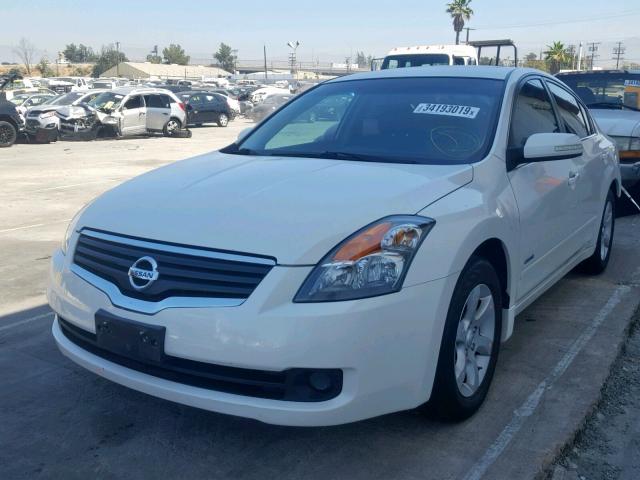 1N4CL21E98C189998 - 2008 NISSAN ALTIMA HYB WHITE photo 2