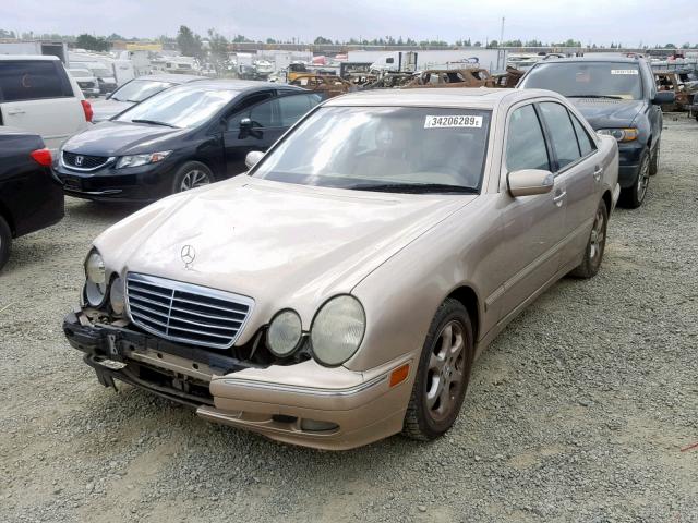 WDBJF65J02B405384 - 2002 MERCEDES-BENZ E 320 GOLD photo 2