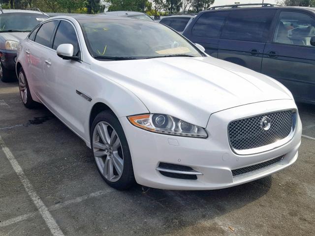 SAJWA2GB3DLV40765 - 2013 JAGUAR XJL PORTFO WHITE photo 1