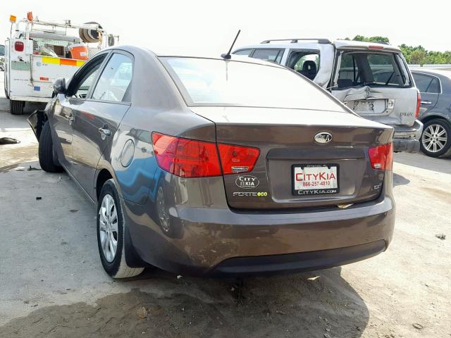 KNAFU4A29D5738200 - 2013 KIA FORTE EX BROWN photo 3