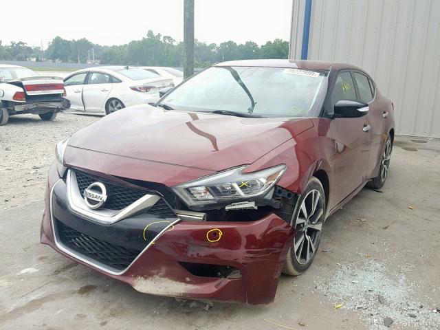 1N4AA6AP7GC380078 - 2016 NISSAN MAXIMA 3.5 MAROON photo 2