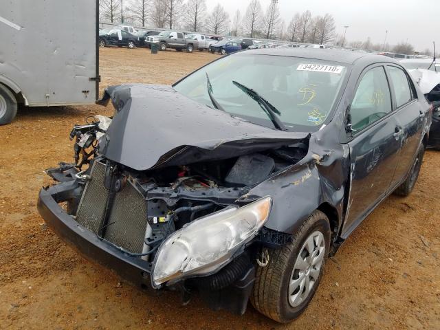 2T1BU4EE0AC191225 - 2010 TOYOTA COROLLA BASE  photo 2