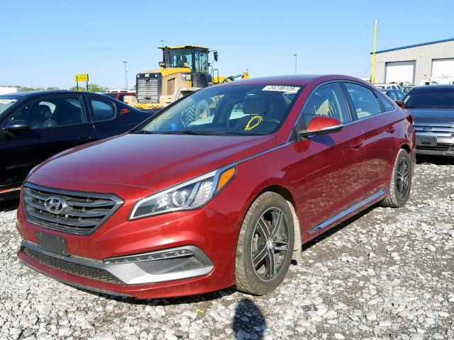 5NPE34AF1FH082050 - 2015 HYUNDAI SONATA SPO MAROON photo 2