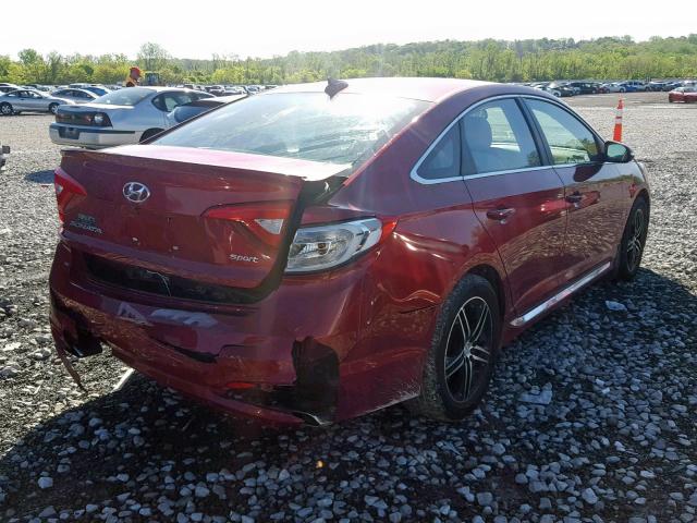 5NPE34AF1FH082050 - 2015 HYUNDAI SONATA SPO MAROON photo 4