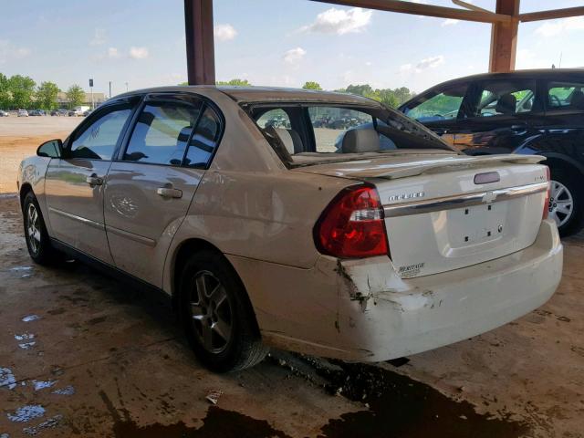 1G1ZT54894F243491 - 2004 CHEVROLET MALIBU LS WHITE photo 3