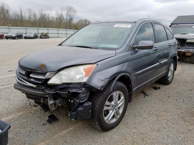 5J6RE4H74AL069446 - 2010 HONDA CR-V EXL  photo 2